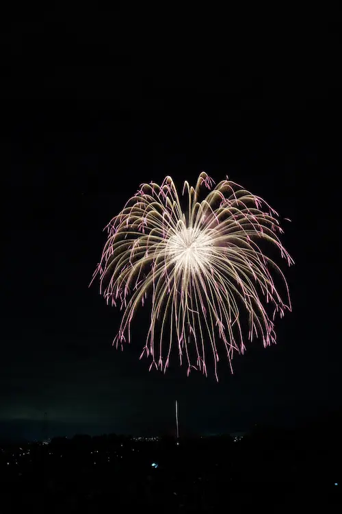高瀬川納涼大花火大会