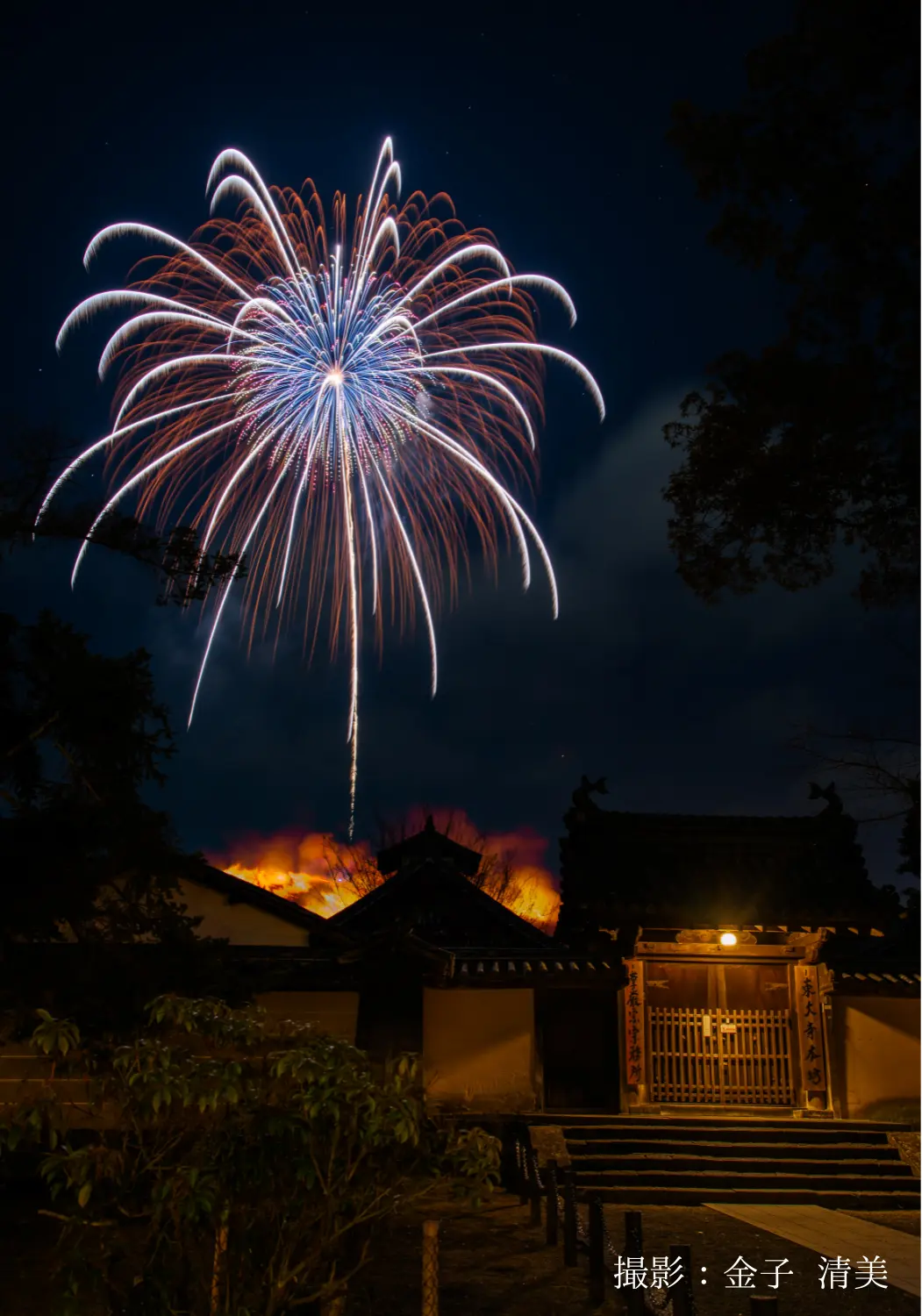 若草山焼き（撮影者：金子 清美）