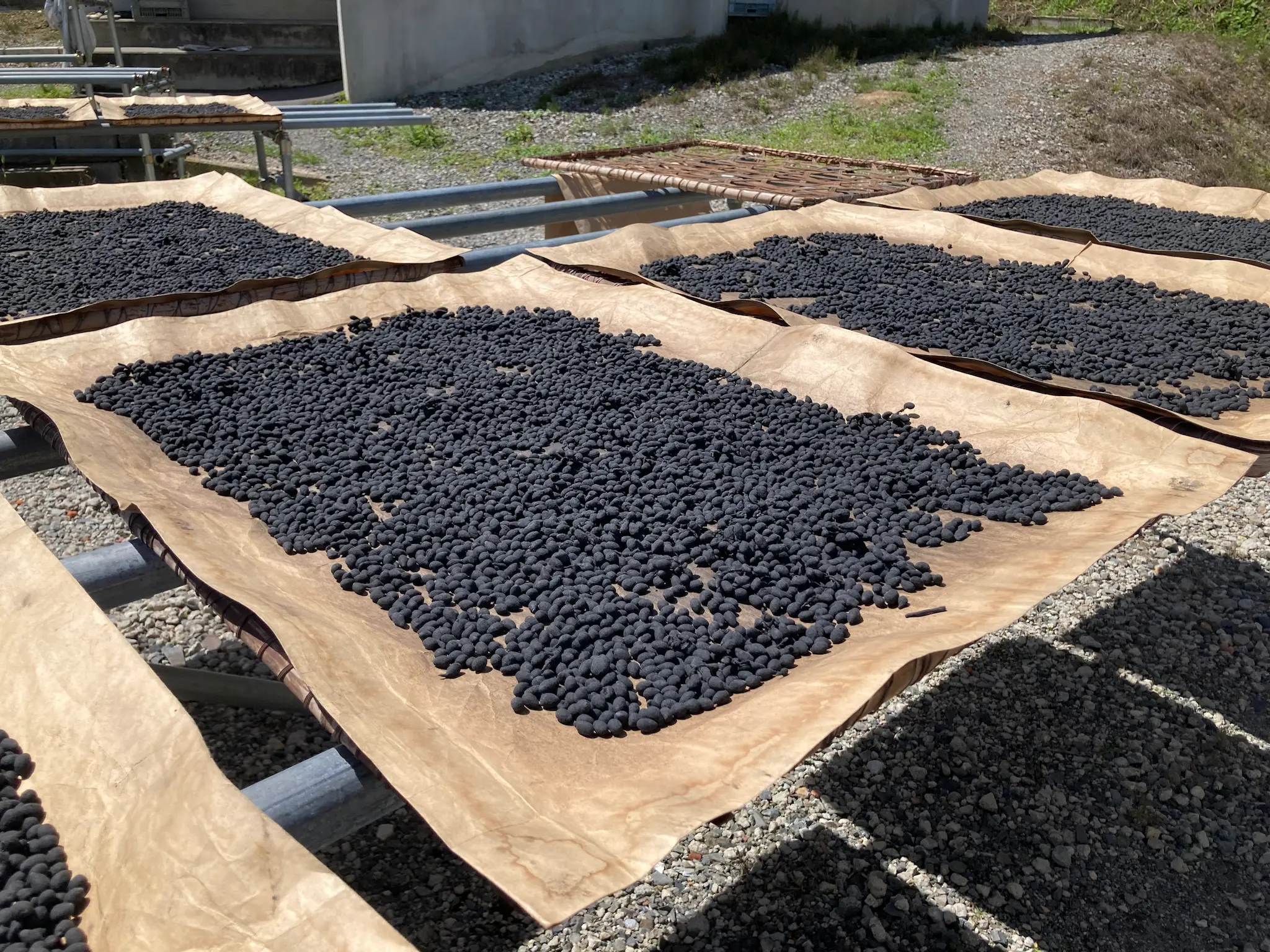 プライバシーポリシー